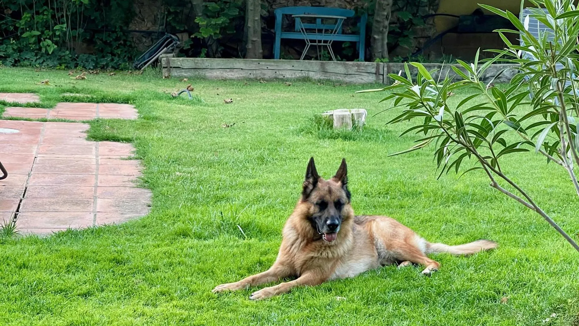 Santa Caterina - Dog Friendly With Garden Villa Sobrestany Spain